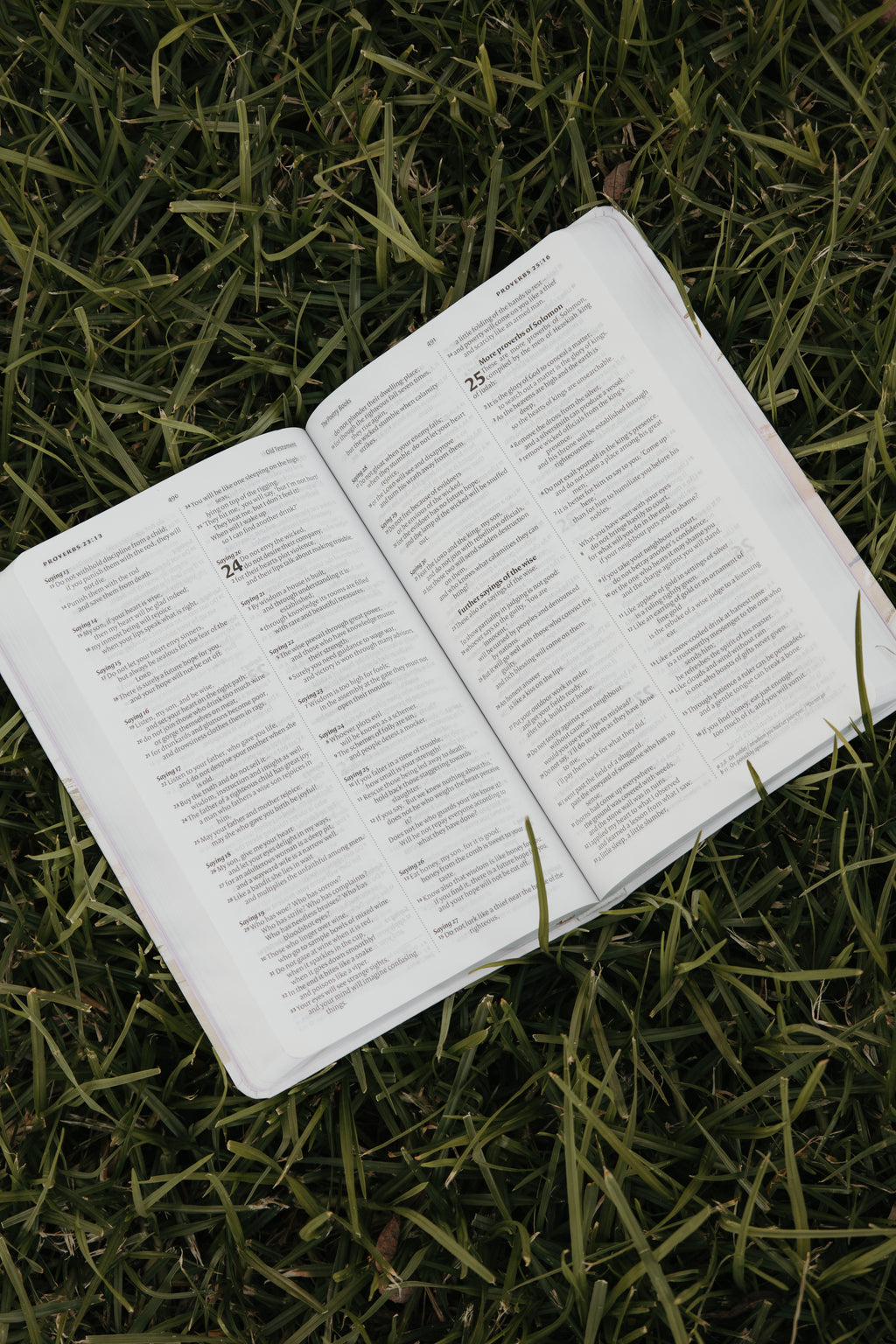 “Vine & Branches” Bible