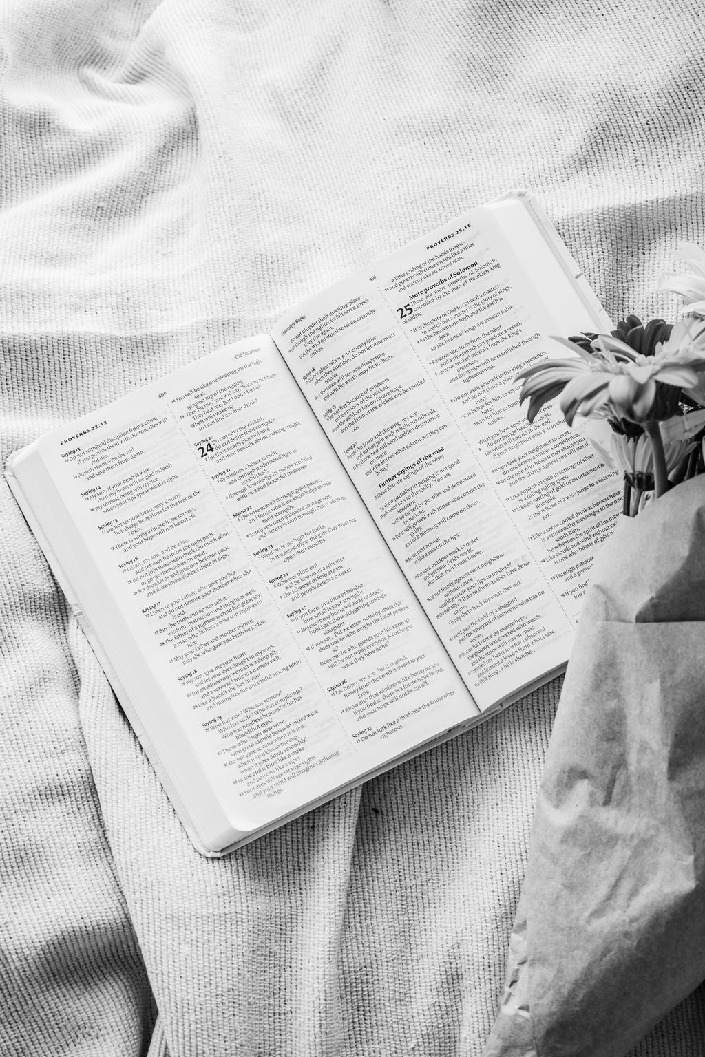 “Olive” Bible