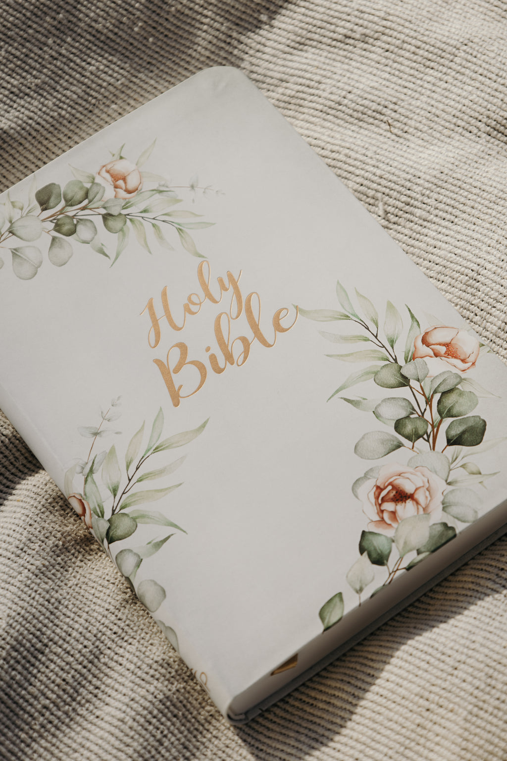 “Vine & Branches” Bible