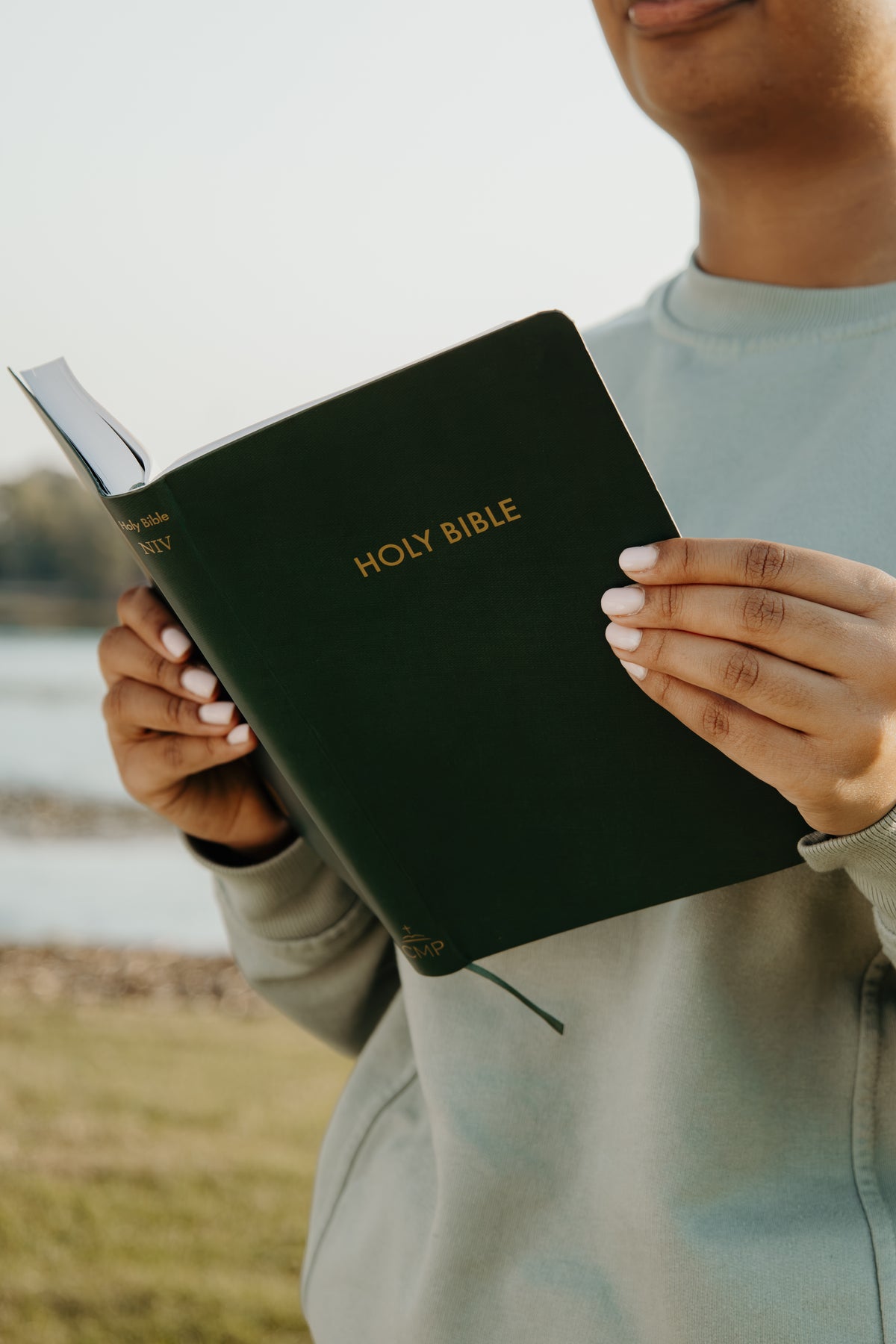 “Olive” Bible