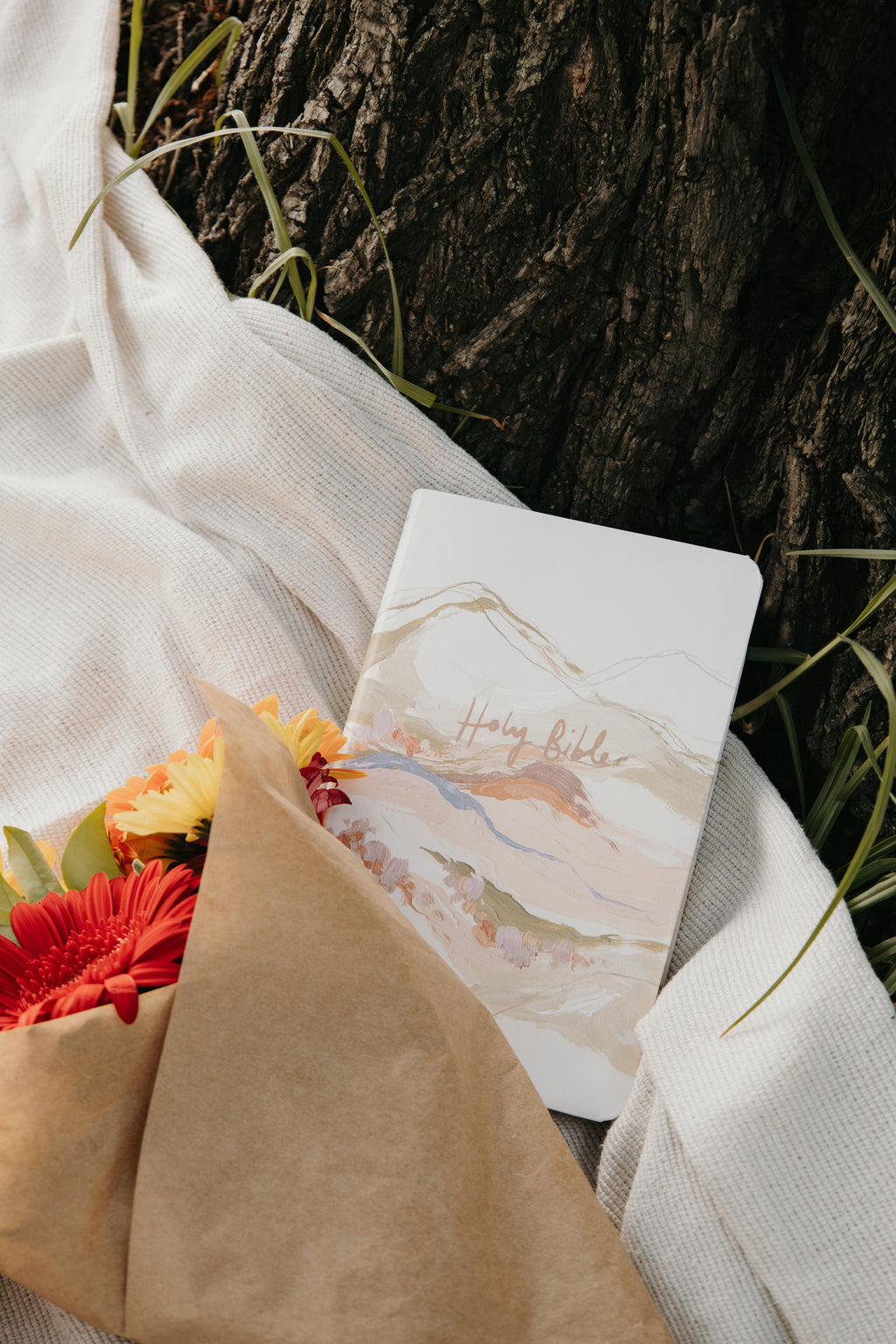 "Hills & Valleys" Bible