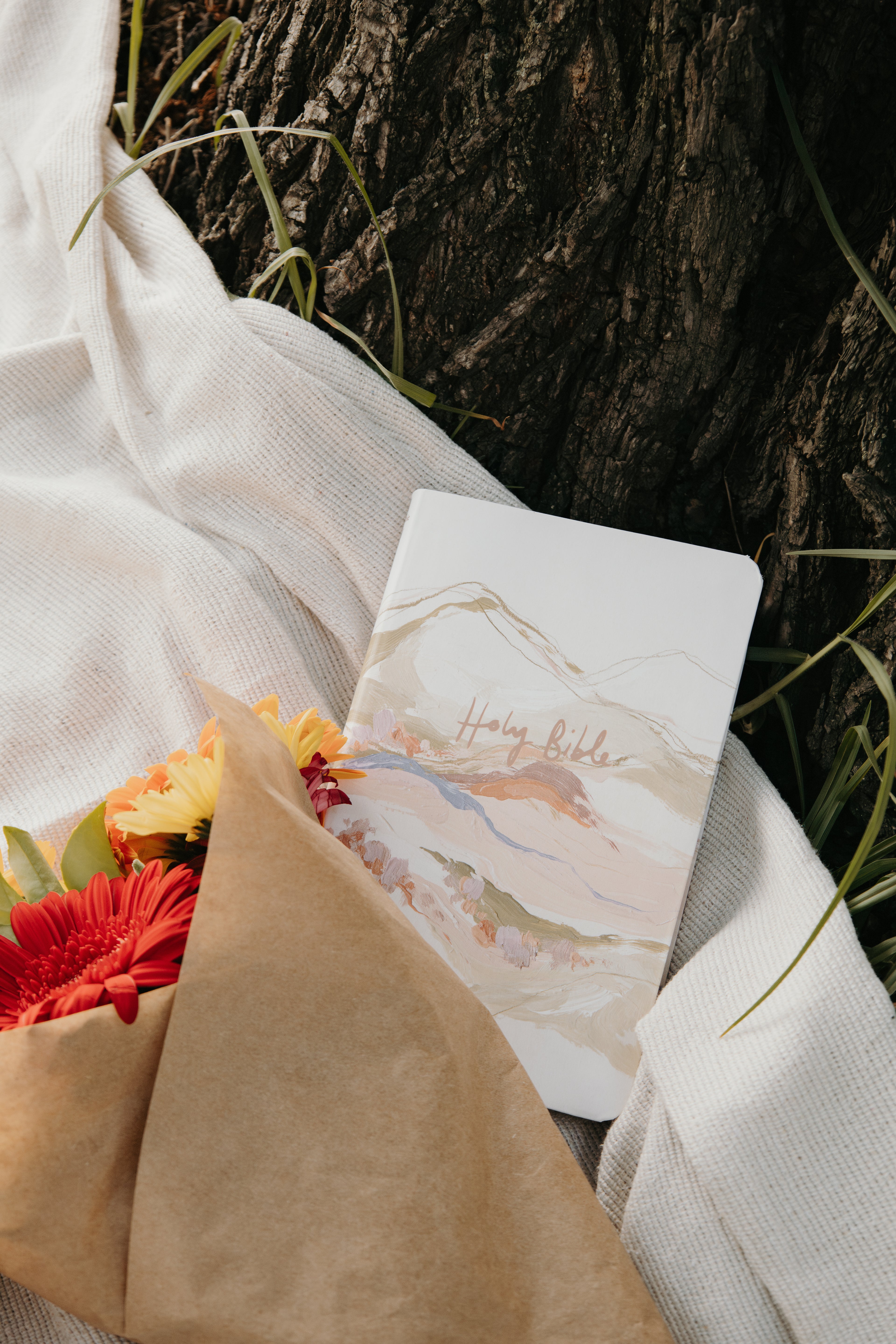 "Hills & Valleys" Bible