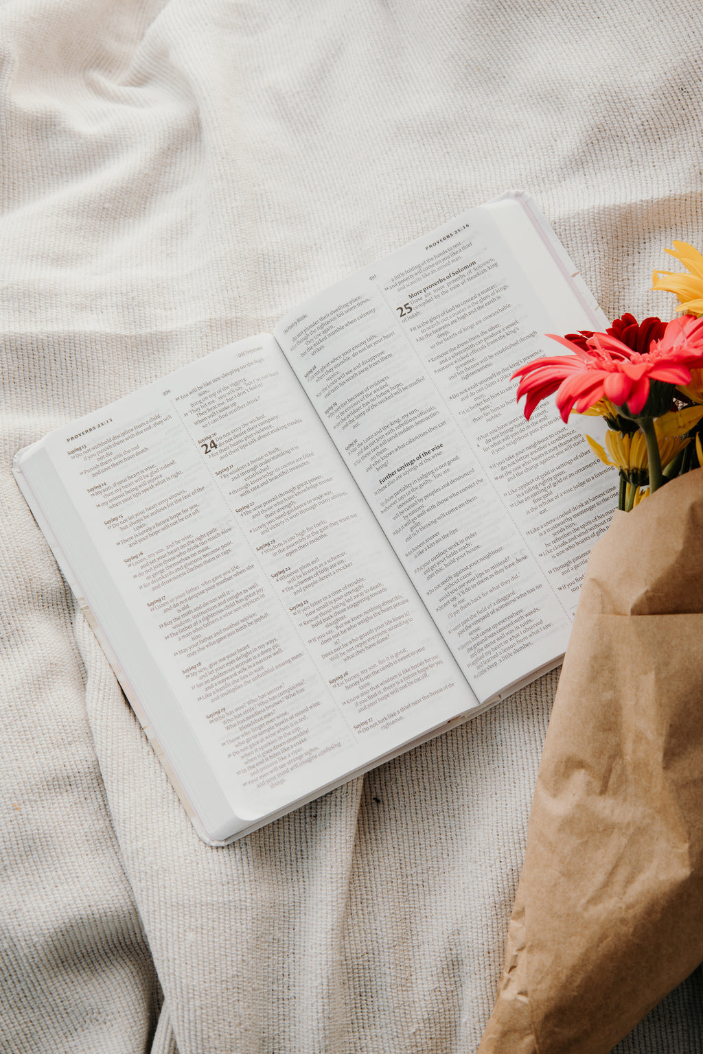 "Hills & Valleys" Bible